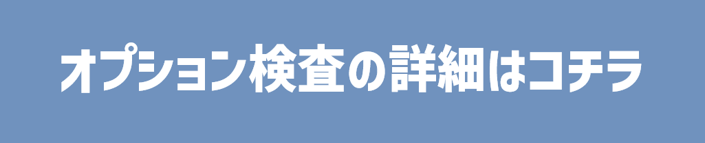 オプション検査詳細